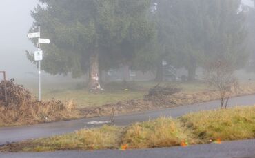 Polizist kommt bei Unfall mit Streifenwagen um