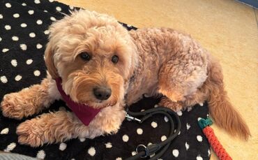 img-20251112-wa0023 - 1