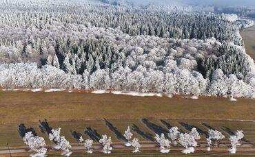 Wetter in Baden-Württemberg