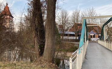 Daniel Plötzke, Mitarbeiter der städtischen Abteilung für Grünflächen und Friedhöfe, hat bereits Eschen gelb markiert, die auf d