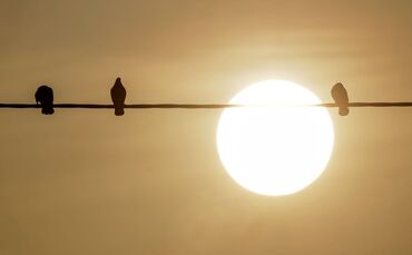 Saharastaub - trübe Sonne am grauen Himmel