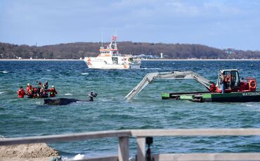 Wal an der Ostseeküste gestrandet
