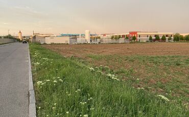 Auf dieser Ackerfläche soll die Anlage mit mobilen Unterkünften beziehungsweise Containern entstehen. Im Hintergrund die Wassers