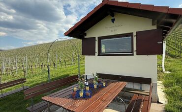 Dieses renovierte Wengerterhäusle wird spontan zur Weinbar zwischen Reben.