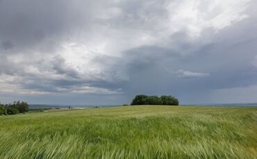 Die Prognose klingt wenig sommerlich: Für die nächsten Tage sind im Südwesten Regen und Wolken angesagt. (Archivbild)