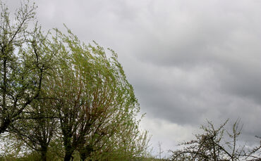 Der Deutsche Wetterdienst warnt vor Windböen.