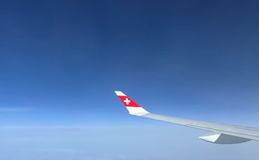 Die Swiss-Piloten sind vom Dienst suspendiert (Symbolbild)