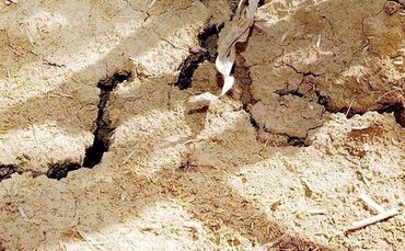 Der Dürre könnte Hochwasser folgen. Davor warnt auch das Landratsamt.