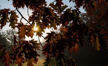 Was der Herbst mit unserem Körper macht 