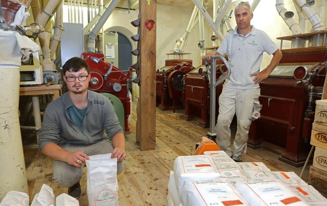 Hegnach Waiblingen Mühle Motten Mehl_0