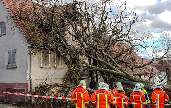 bb_sturmschaeden_10-03-2019_3_2