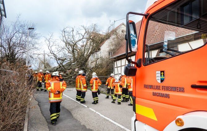 bb_sturm_eberhard_baum-auf-haus_10-03-2019_6_10