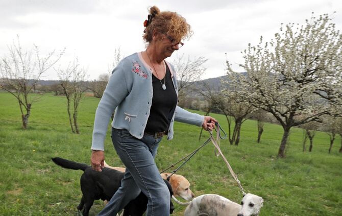 Brexit Schwaikheim_0