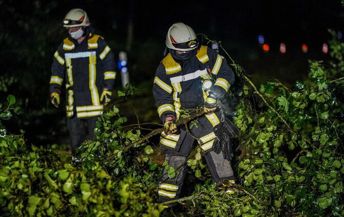 Gschwend: Baeume stuertzen auf Kreisstrasse