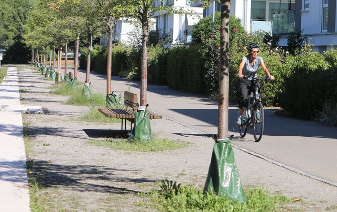 Klimawandel