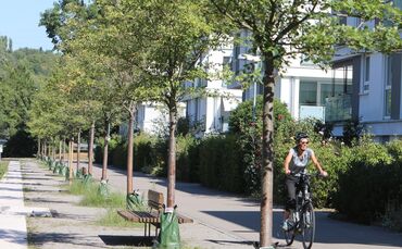 Klimawandel