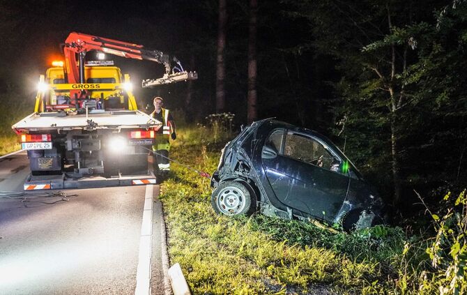 Baltmannsweiler-Hohengehren: Smart landet 50 Meter im Wald – 2 Verletzte