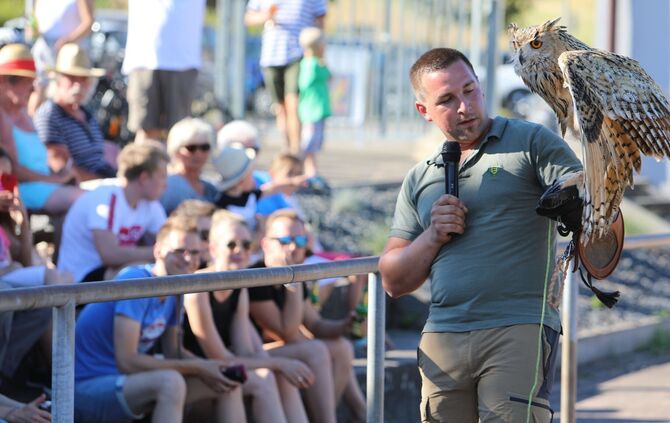 Sonnwendfeier Winnenden-Höfen Uhu Bussard Falkner_0