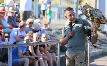 Sonnwendfeier Winnenden-Höfen Uhu Bussard Falkner_0