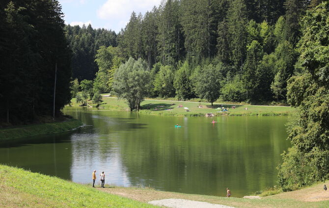 Hagerwaldsee Alfdorf See