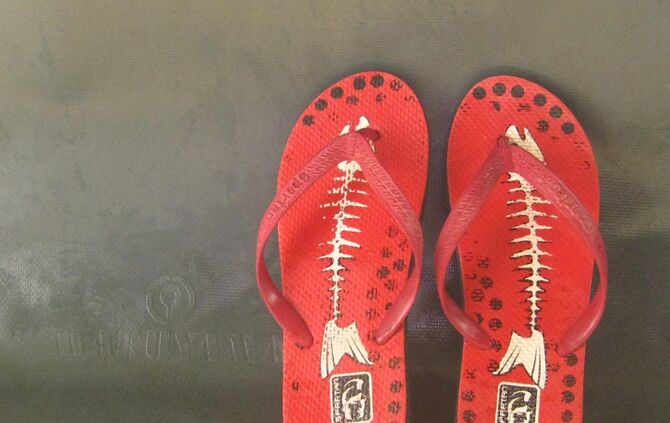 Flip Flops Schuhe Badelatschen Latschen Symbol Sommer_0