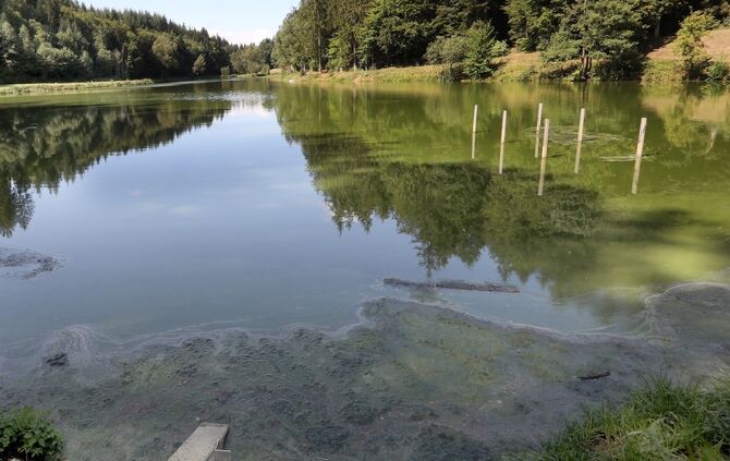 Hagerwaldsee