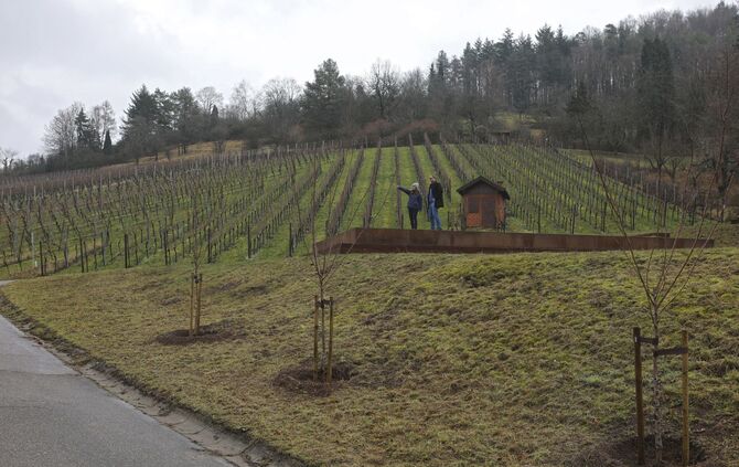 Aussichtsplattform_0