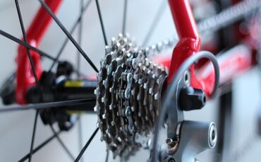 pexels-photo-30127-large_0