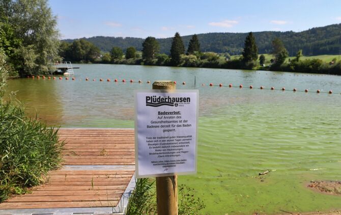 Badeverbot für den Badesee Plüderhausen_0