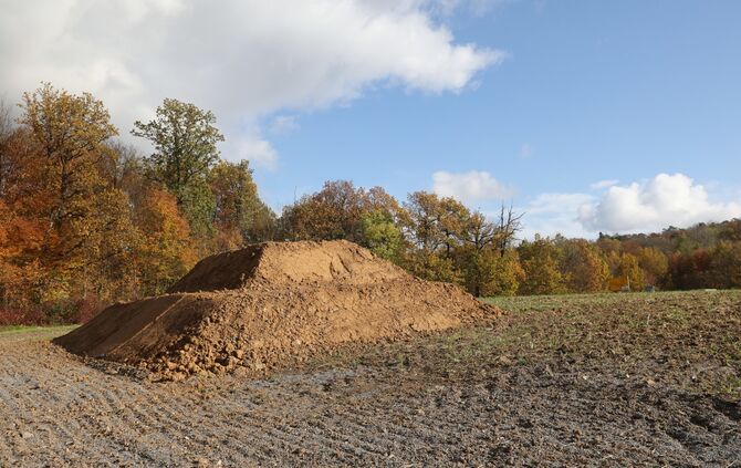 Insektenhügel Pyramide B 14 B 29 B14 B29 Bundesstraße_0