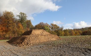 Insektenhügel Pyramide B 14 B 29 B14 B29 Bundesstraße_0