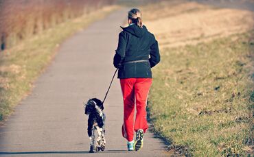 Hund Joggen Jogging Jogger Joggerin Laufen Läufer Läuferin_0