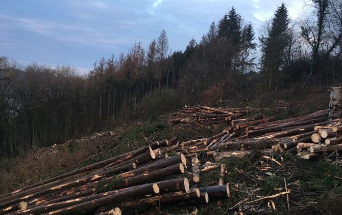 ee4a3daa-93f8-4e98-8032-04ea6310be77.jpg_0