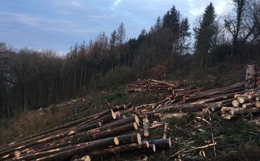 ee4a3daa-93f8-4e98-8032-04ea6310be77.jpg_0