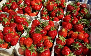 Erdbeeren erdbeer symbol symbolbild smbolfoto