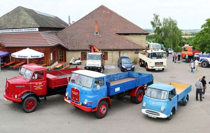 52f7ec3a-f521-452a-932d-a7b227c336bc.jpg_0