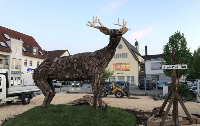 Hirsch_0