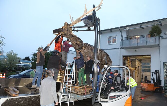 Hirsch auf dem Hirsch-Areal_1
