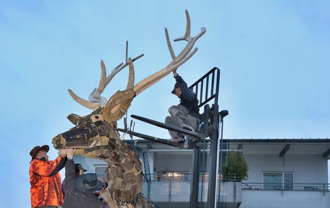 Hirsch auf dem Hirsch-Areal_17