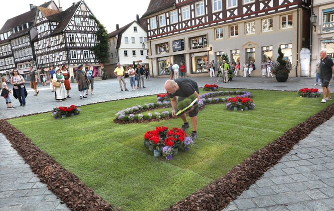 856fda6c-af88-4a69-8920-455bd2a0d53c.jpg_0