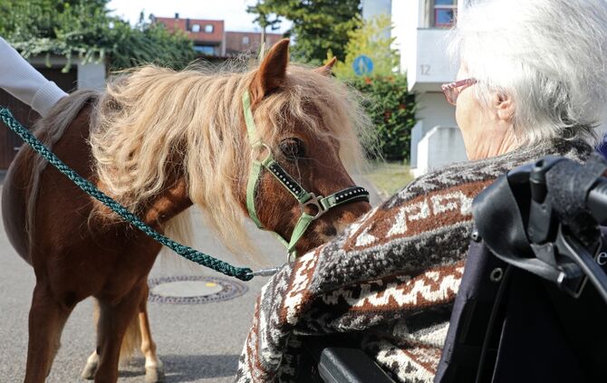 Ponys im Pflegeheim