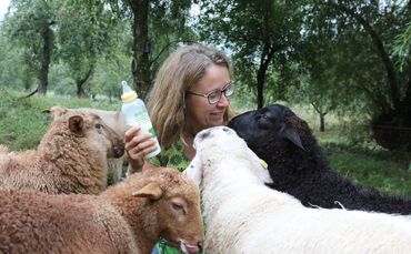 Schäferin Wolf Schafe Remshalden_0