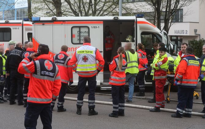 Alba Documentus Brand_1