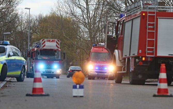 Alba Documentus Brand_3