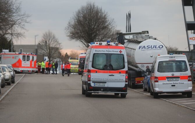 Alba Documentus Brand_4