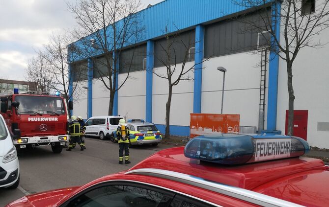 Alba Documentus Brand_5