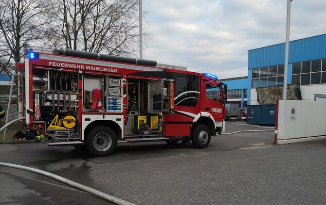 Alba Documentus Brand_6