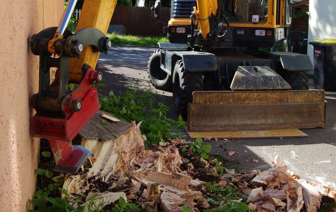 Wurzelratte Winnenden_0