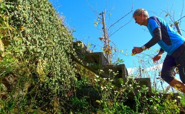 Treppenlauf Weinberge_0