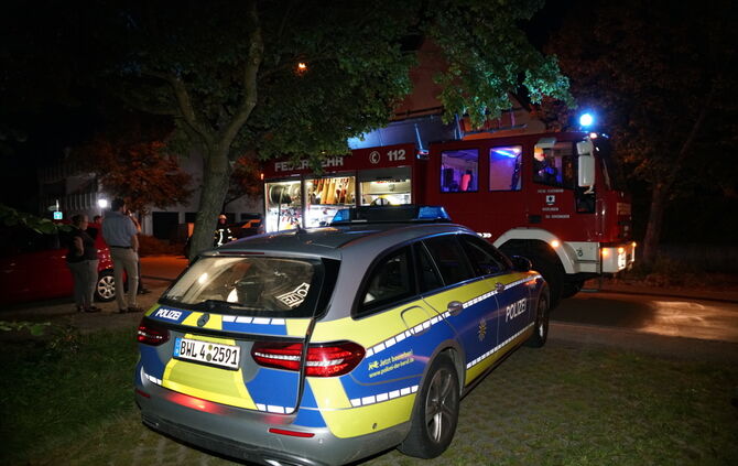 Brandstiftungsserie im Ort  - Bild 13_25